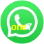 one7 WhatsApp